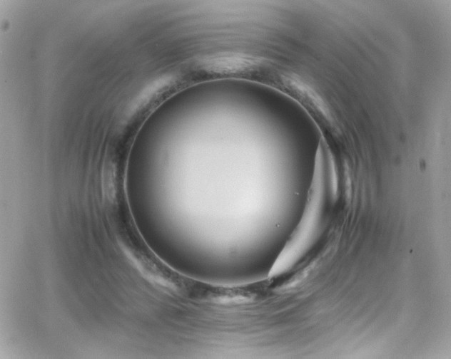 X0000066960400200603241214