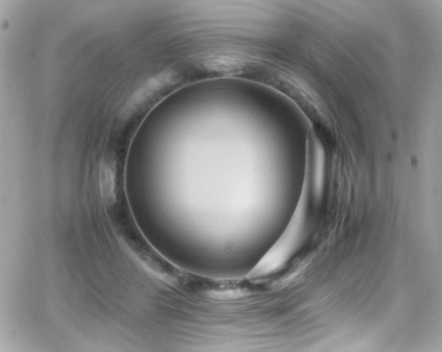 X0000066960404200603241214