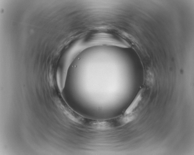X0000066960428200603241214