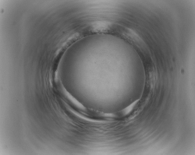 X0000066960508200603241212