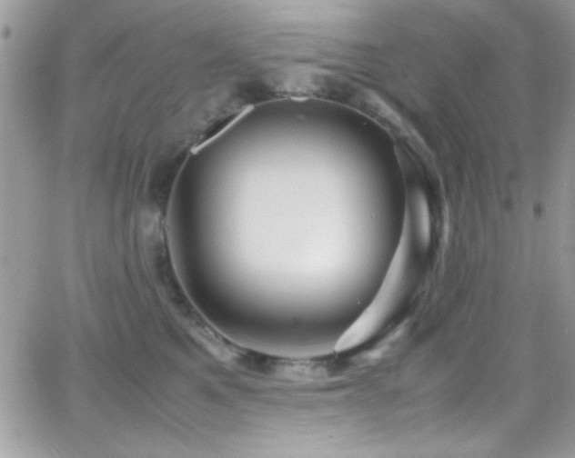 X0000066960521200603241212