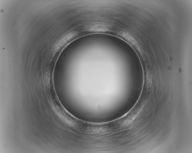 X0000066960533200603241211