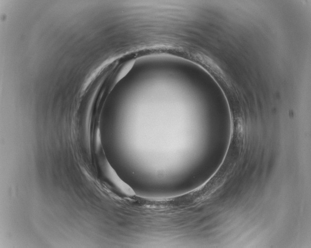 X0000066960676200603241210