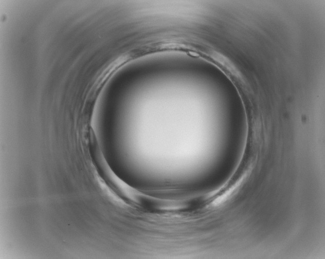 X0000066960801200603241207