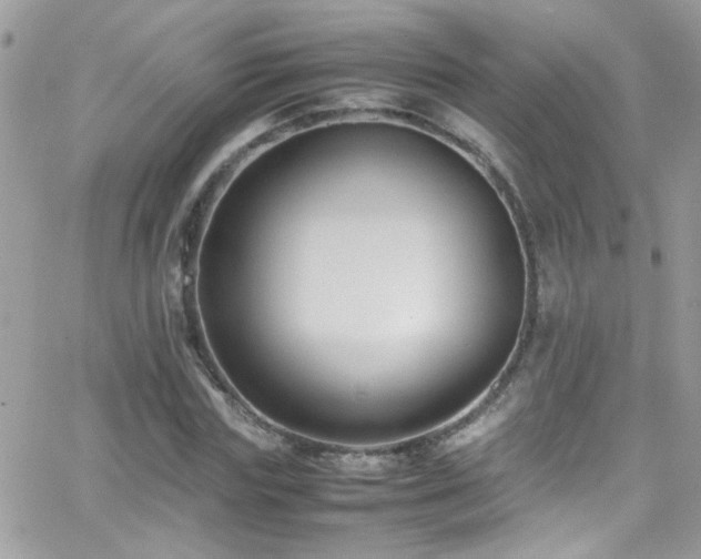X0000066960827200603241207