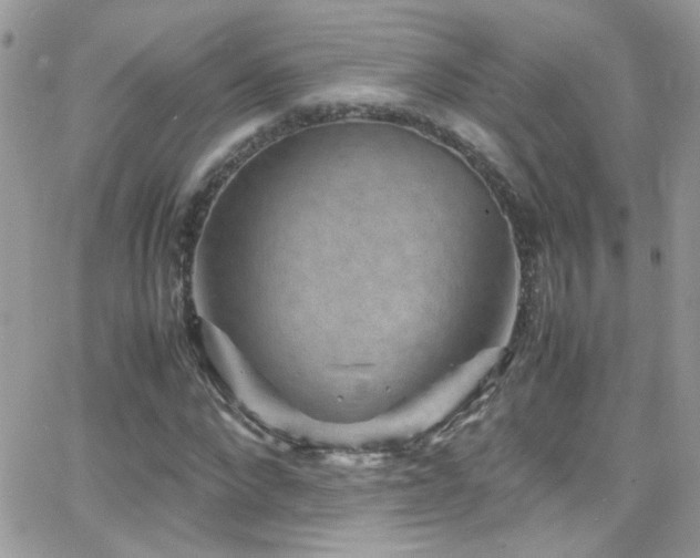 X0000066960872200603241206