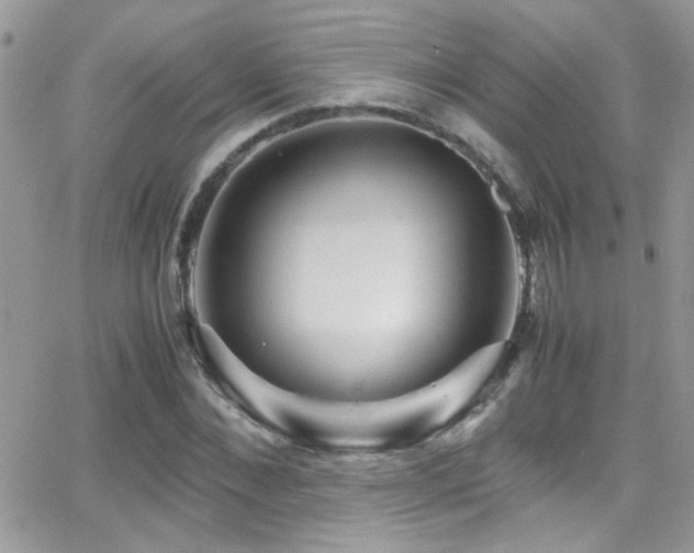 X0000066960876200603241206