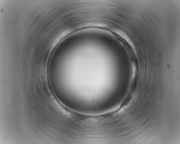 X0000066960898200603241206