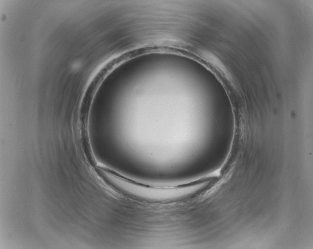X0000066960924200603241205
