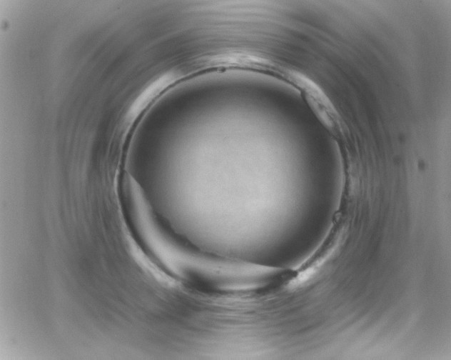 X0000066960946200603241205