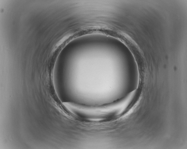 X0000066960969200603241205