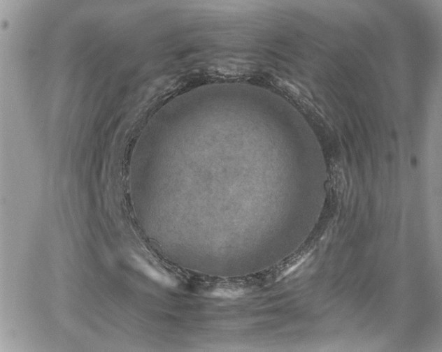 X0000066961009200603241203