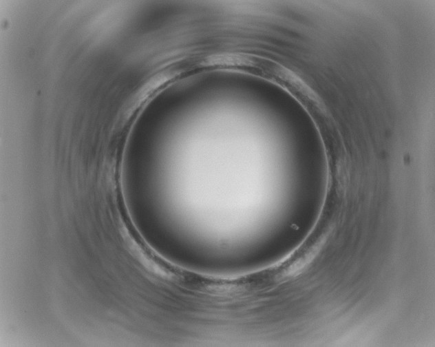 X0000066961033200603241204