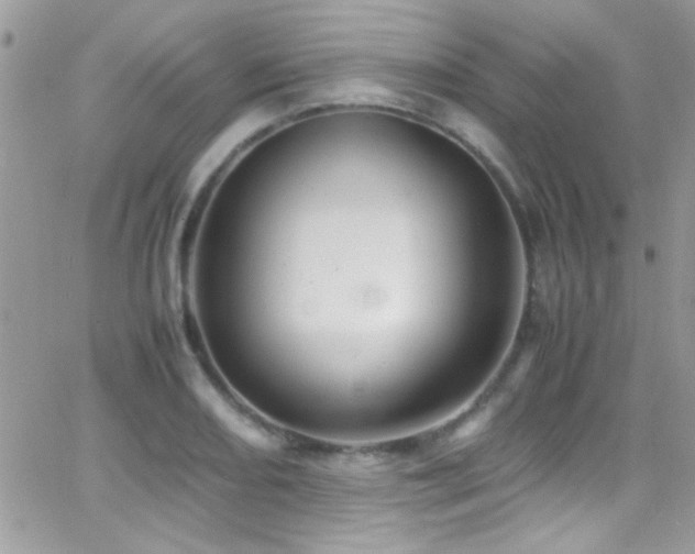 X0000066961082200603241203