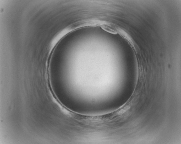 X0000066961103200603241203