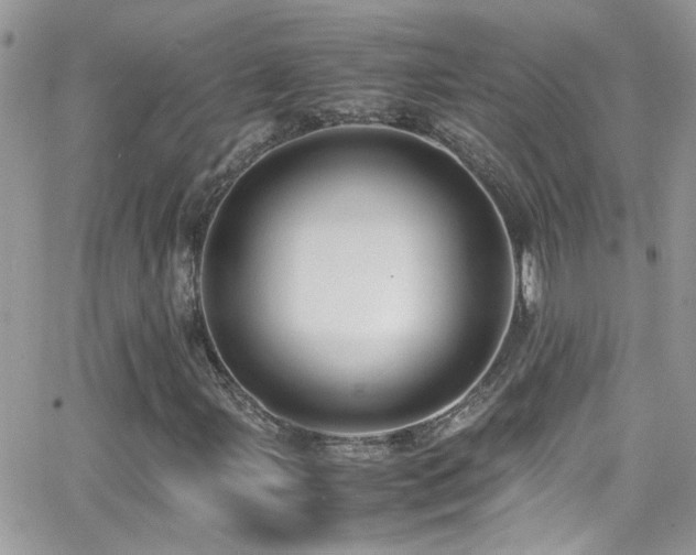 X0000066961107200603241202