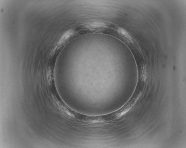 X0000066961108200603241202