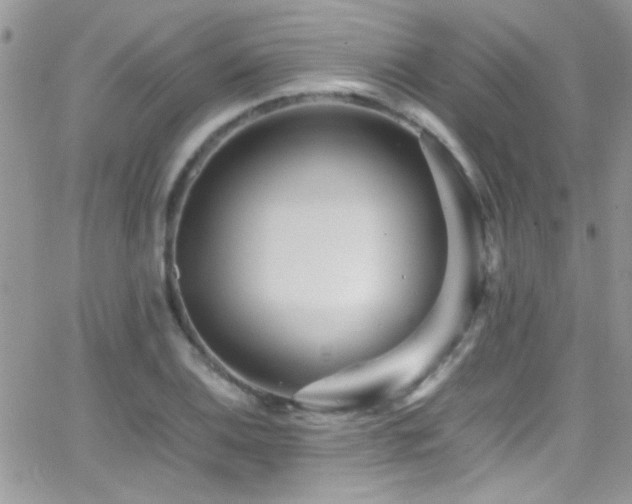 X0000066961124200603241202