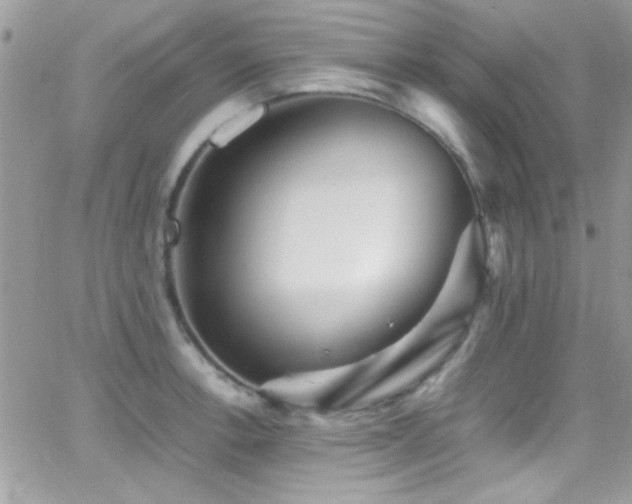 X0000066961138200603241202