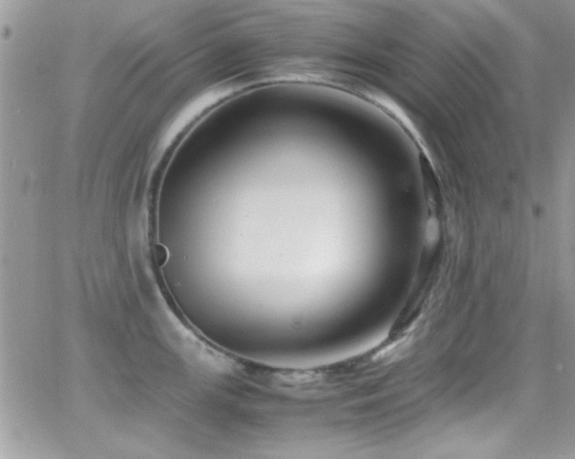 X0000066961147200603241202