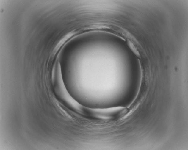 X0000066961177200603241201