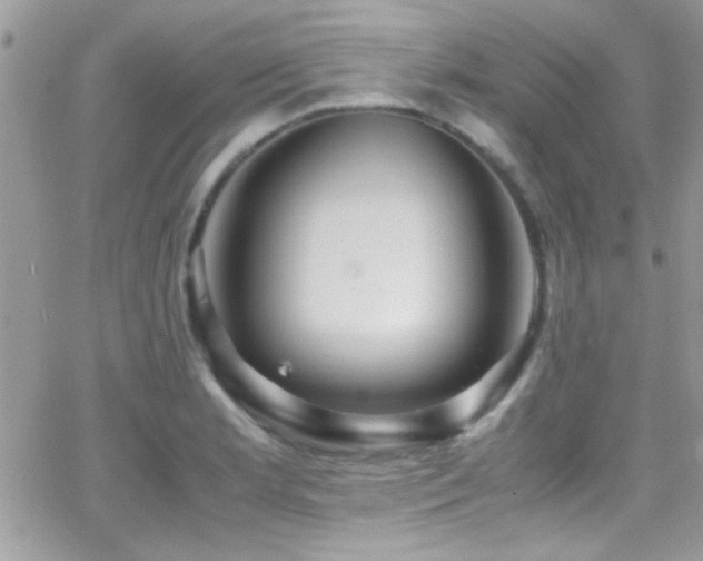 X0000066961181200603241201