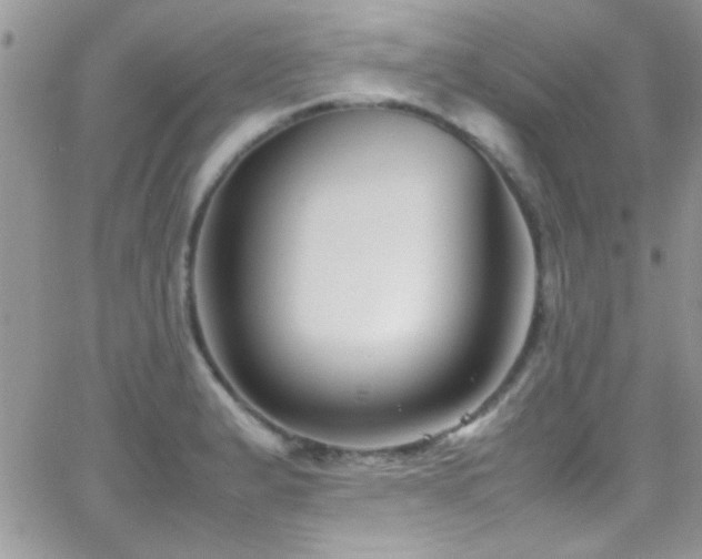 X0000066961183200603241201