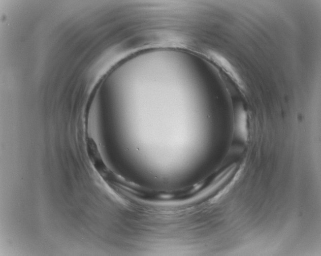 X0000066961184200603241201