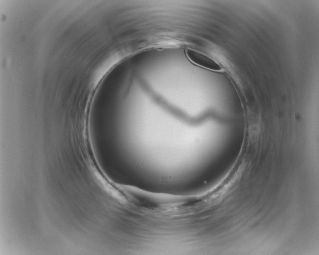 X0000066961194200603241201