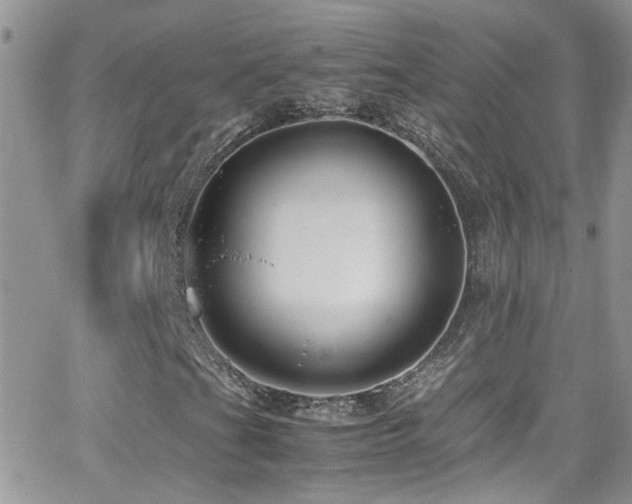 X0000066961201200603241200