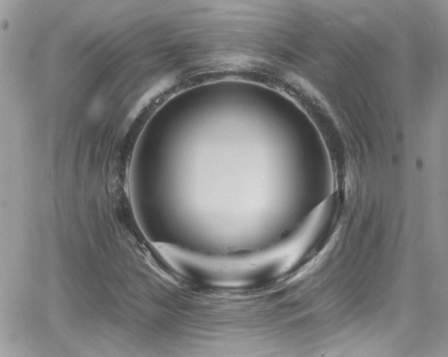 X0000066961210200603241200