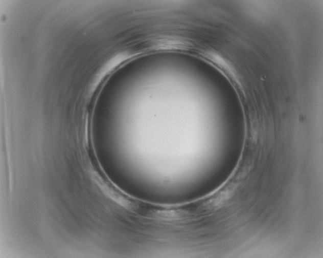 X0000066961227200603241201