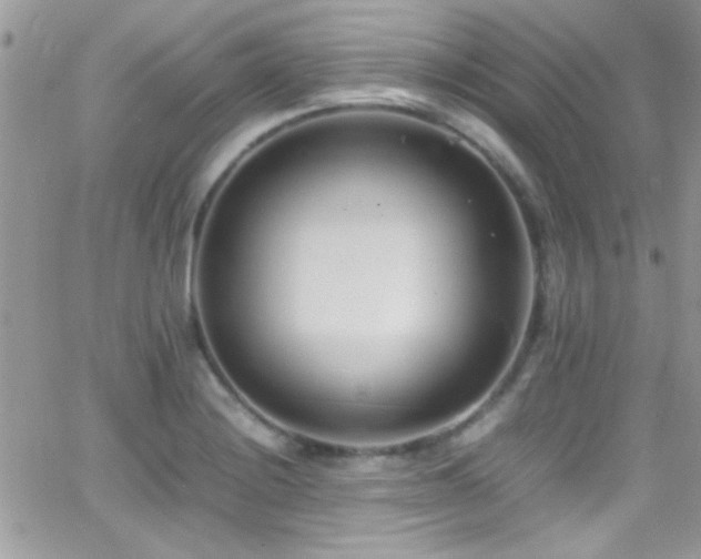 X0000066961228200603241201