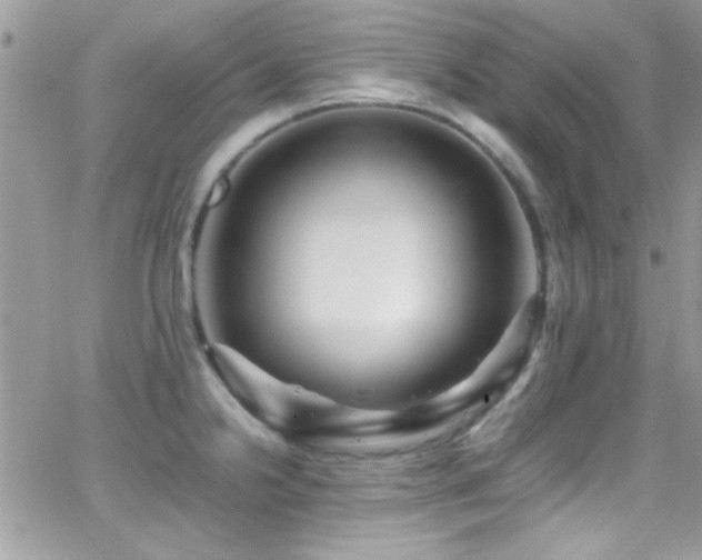 X0000066961238200603241201