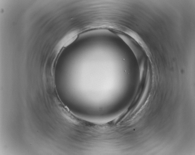 X0000066961242200603241201