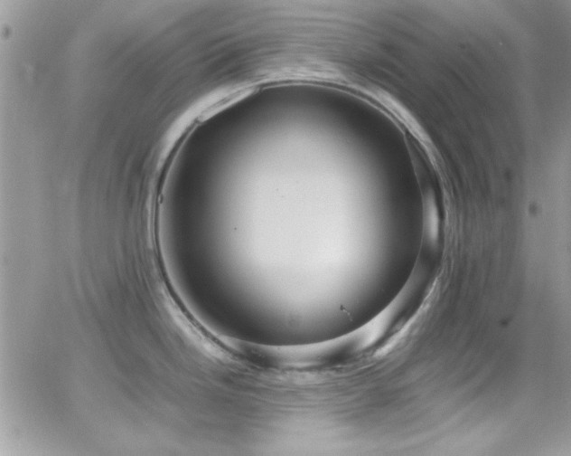 X0000066961246200603241201