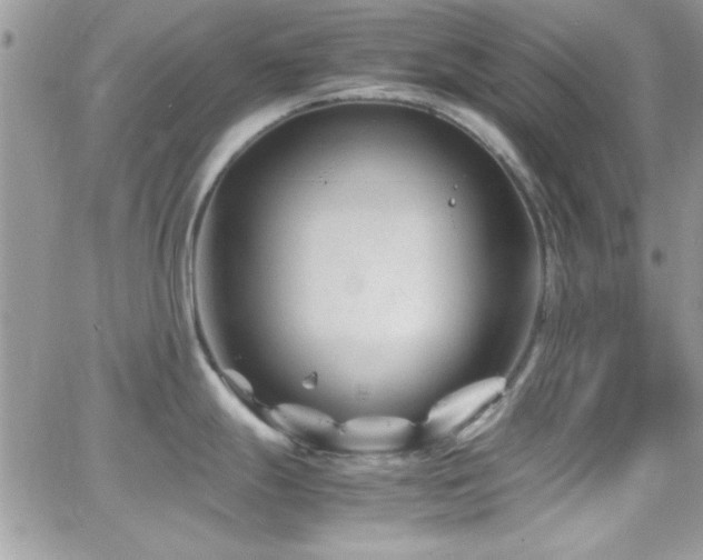 X0000066961247200603241201