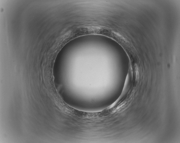 X0000066961249200603241200