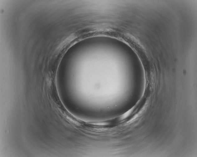 X0000066961257200603241200