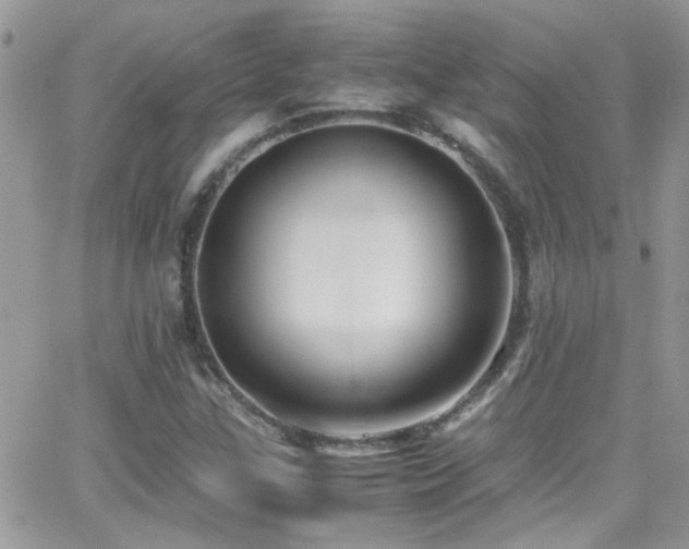 X0000066961307200603241159