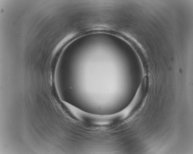 X0000066961317200603241159