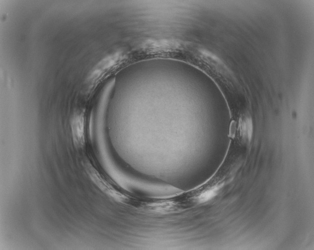 X0000066961348200603241158