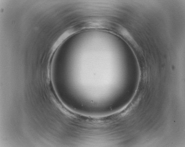 X0000066961370200603241158