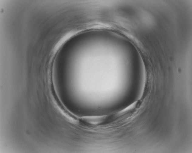 X0000066961375200603241158