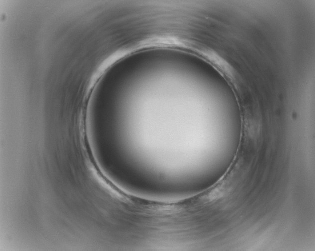 X0000066961382200603241158