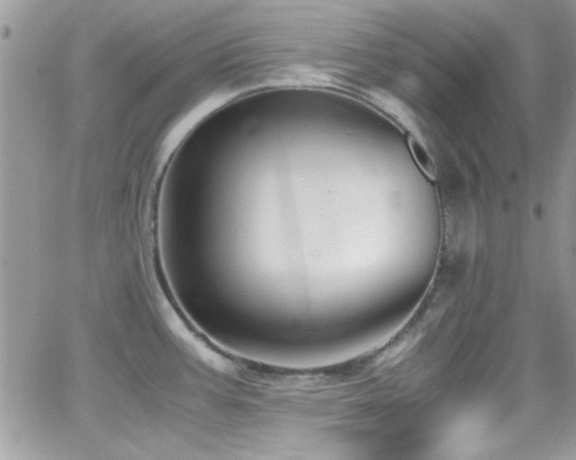 X0000066961387200603241158