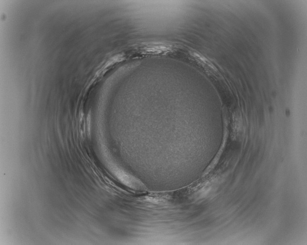 X0000066961394200603241157