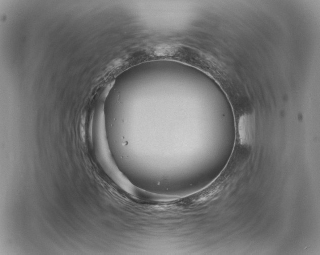X0000066961443200603241157