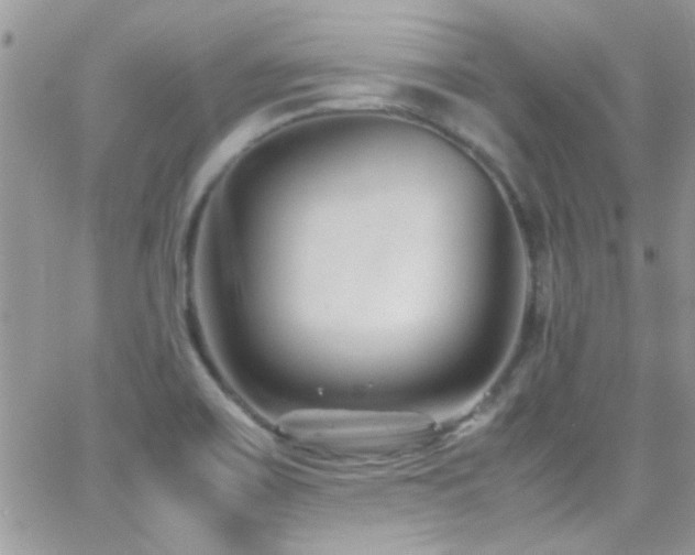 X0000066961467200603241157