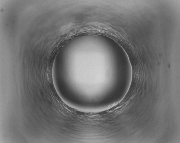 X0000066961490200603241155